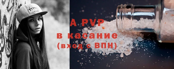 индика Арсеньев