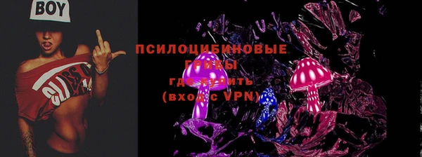 СК Лиски