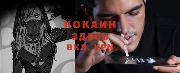 ПСИЛОЦИБИНОВЫЕ ГРИБЫ Алексин