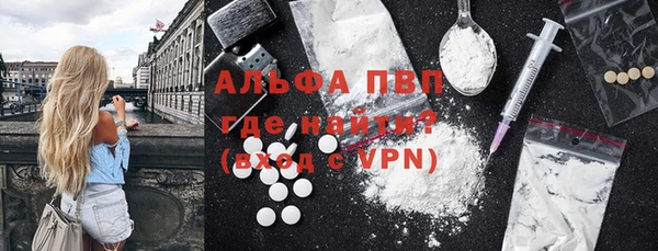 индика Арсеньев