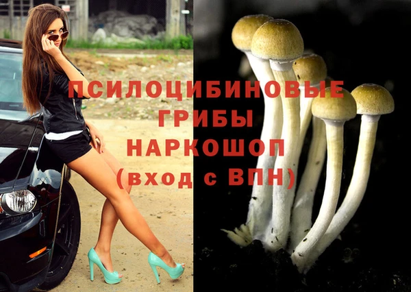 гидропоника Аркадак