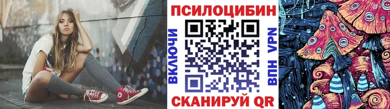 Галлюциногенные грибы Psilocybine cubensis  Александровск-Сахалинский 